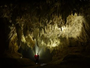 西表島　ケイビング　洞窟　探検